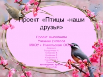 Презентация по окружающему миру на тему Птицы нашего края