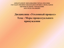 Презентация по дисциплине Уголовный процесс. Тема Меры пресечения