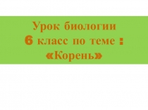 Презентация по биологии 6 класс Строение корней