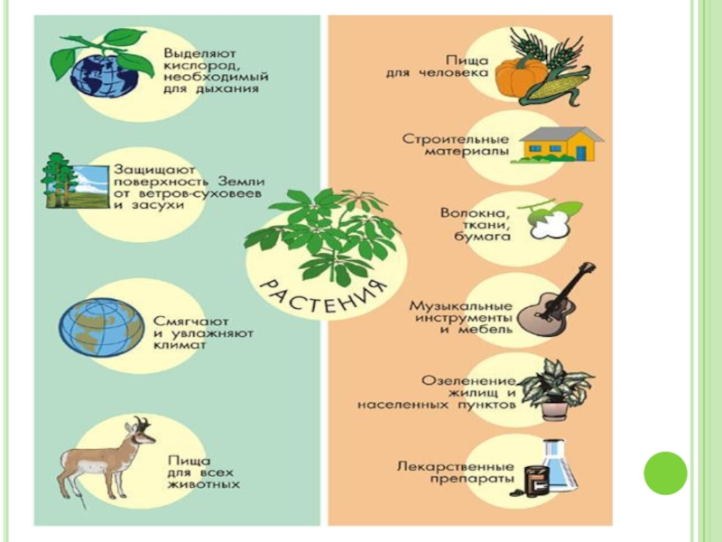 Какой продукт можно сделать в проекте