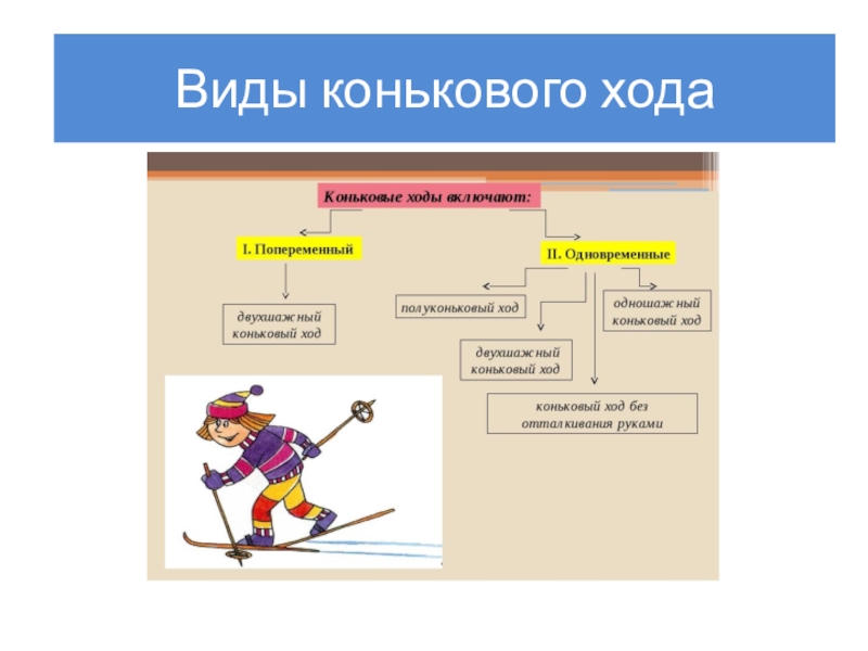 Коньковые лыжные ходы. Разновидности конькового лыжного хода. Коньковые ходы делятся на. Коньковые лыжные ходы кратко.