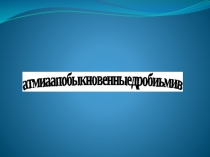 Презентация по математике Обыкновенные дроби.