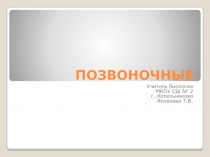 Презентация по биологии на тему Позвоночные.