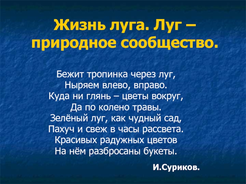 Презентация жизнь луга 4 класс школа россии