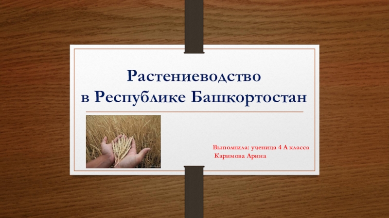 Презентация Презентация по окружающему миру Растениеводство в Башкортостане