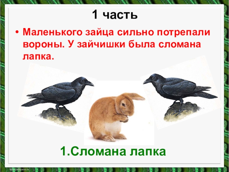 Презентация изложение зайчик 4 класс маленького зайца сильно потрепали вороны