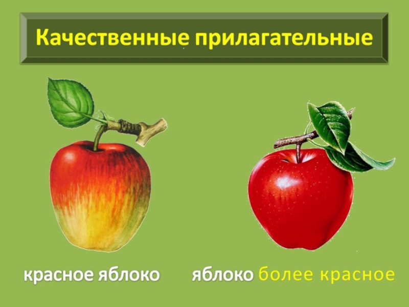 По ягоды качественные прилагательные. Яблоко прилагательное. Прилагательные к яблоку. Яблоко какое прилагательное. Имя прилагательное яблоко.