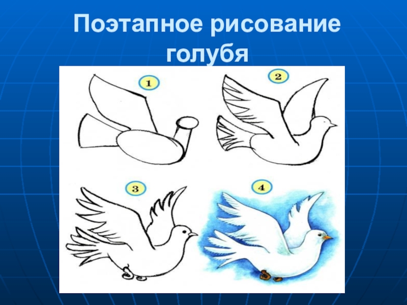 Презентация рисуем голубя