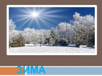 Презентация к интегрированному уроку в 1 классе Зимующие птицы