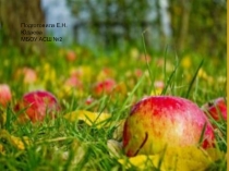 Презентация по окружающему миру на тему Осенние изменения в природе 2 класс