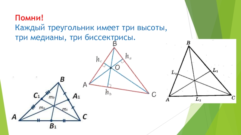 Треугольник имеет. Три биссектрисы треугольника. Треугольник с тремя медианами. Треугольник имеющих три Медианы. Каждый треугольник имеет три высоты.