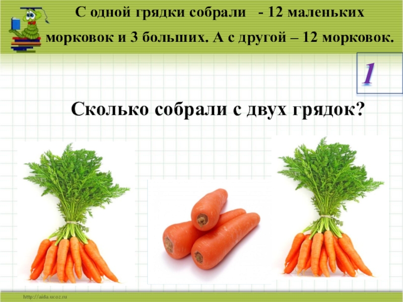 Сколько растет морковь. Морковь 1кг. Морковь кг. 1/5 Моркови. Задача про морковки.