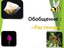 Презентация по биологии по теме Контрольная работа (Растения) для 5, 6 классов