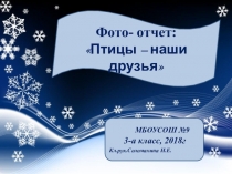 Фото-отчет Птицы -наши друзья