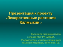 Презентация Лекарственные растения Калмыкии