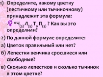 Презентация к уроку биологии на тему Соцветия (6 класс)