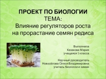 Проект по биологии на тему Влияние стимуляторов роста на прорастание семян редиса