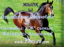 Презентация шығармашылық жұмыс Жылқы