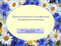 Презентация по профессии Рабочий зеленого хозяйства на тему Производственная классификация декоративных растений