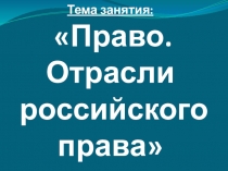 Презентация по обществознанию к теме Отрасли права
