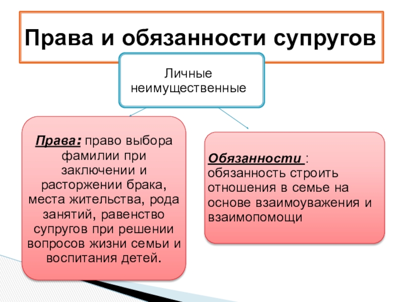 Ответственность супругов по общим обязательствам. Ответственность супругов по обязательствам. Личные и Общие обязательства супругов.