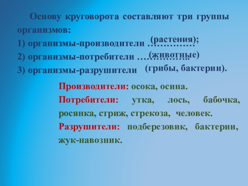 3 группы организмов. Основу круговорота составляют три группы организмов. Основу круговорота жизни составляют три группы организмов:. 3 Группы организмов, которые составляют основу круговорота жизни..