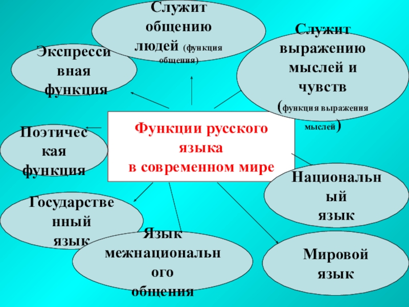 Основные функции русского языка презентация