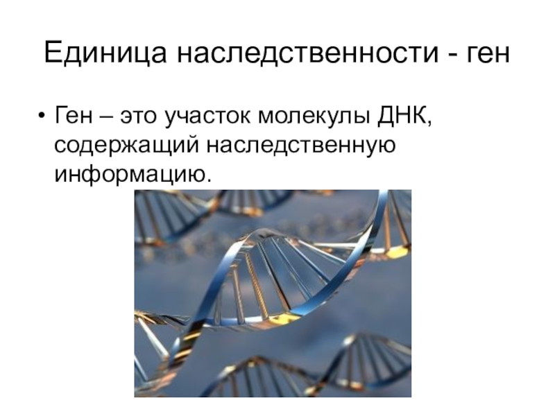Ген биология 9. Ген. Ген это в биологии. Гены это в биологии кратко. Ген это кратко.