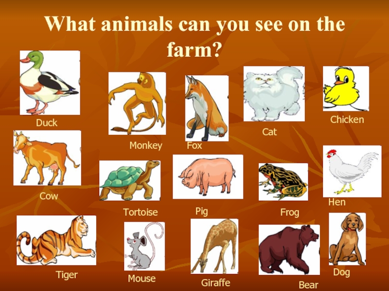 Do you like animals. Животные can. What can animals do. What animals can you see. Задания 3 класс animals can.