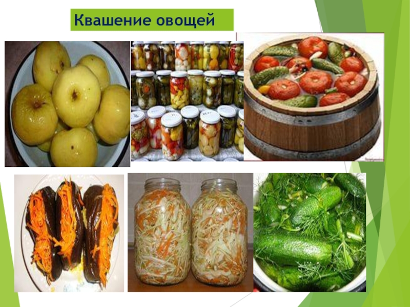 Кислые овощи. Квашение овощей. Квашение пищевых продуктов. Продукты брожения. Ферментация овощей.