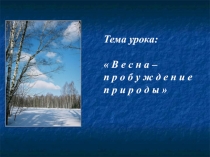 Презентация по окружающему миру Весна 1 класс