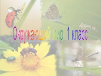 Презентация к уроку по окружающему миру 1 класс