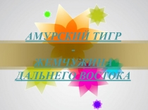 Презентация для внеклассного мероприятия Амурский тигр - жемчужина Дальнего Востока