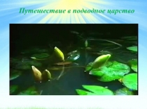 Презентация по самопознанию на тему Женщина в обществе (9 класс)