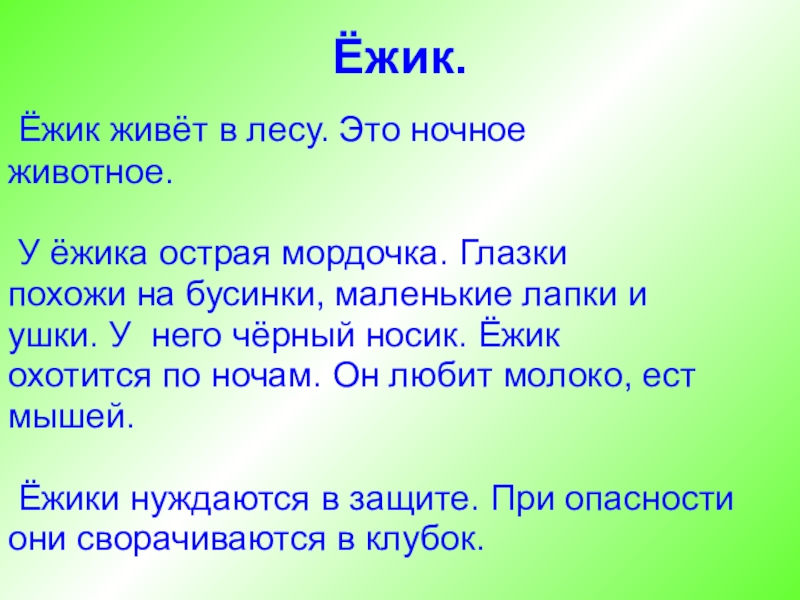 План описания ежика