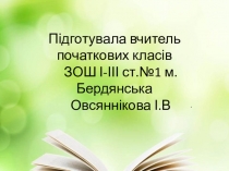 Презентація до уроку: Подорожуємо. Транспорт.