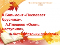 Литературное чтение.2 класс.Презентация Бальмонт,Фет