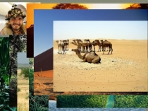 Презентация по географии на тему природные зоны Африки (7класс)