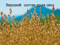 Презентация по биологии на тему Видовой состав поля овса