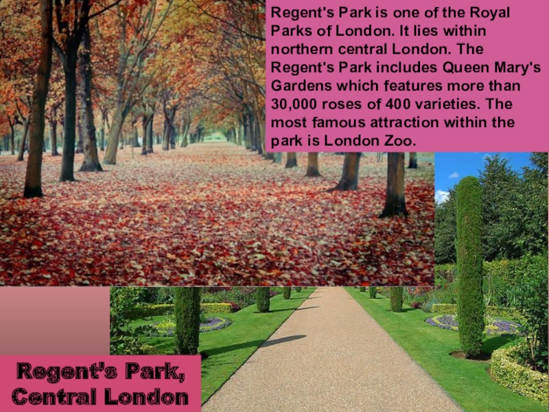 Презентация london parks