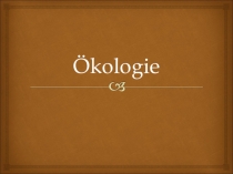 Презентация Экология. Экологические проблемы.