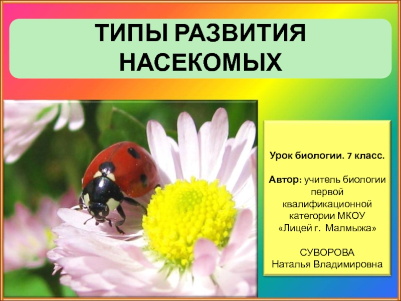 Презентация Типы развития насекомых