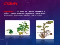 Растение. Размножение.