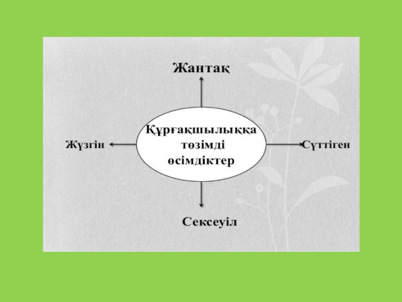 Өсімдіктерді қалай күту қажет жаратылыстану тех карта