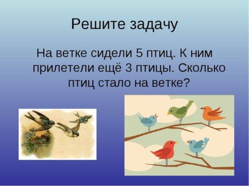 Птицы 5 класс 8. Задачи про птиц. Задачки с птичками. Задача про птиц 1 класс. Задачи про птиц для дошкольников.
