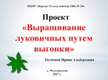 Отчет по проекту Выращивание луковичных методом выгонки