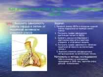 Презентация Влияние мышечной активности на вентиляцию легких биология 8 класс