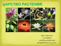 Презентация к уроку Царство растения (5 класс)
