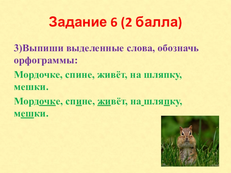 Задание 6 (2 балла)3)Выпиши выделенные слова, обозначь орфограммы: Мордочке, спине, живёт, на шляпку, мешки.Мордочке, спине, живёт, на