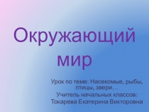 Презентация к уроку по теме: Животные